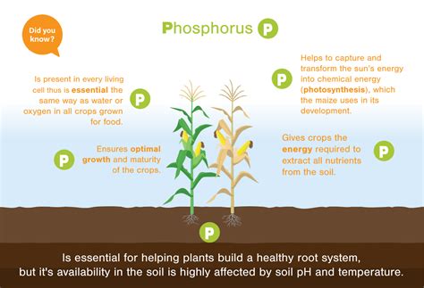 Yellow Phosphorous 應用於磷酸鹽和肥料生產中！